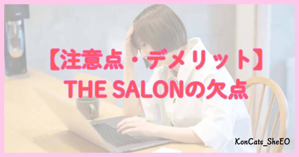 THE　SALON　パパ活　注意点　デメリット